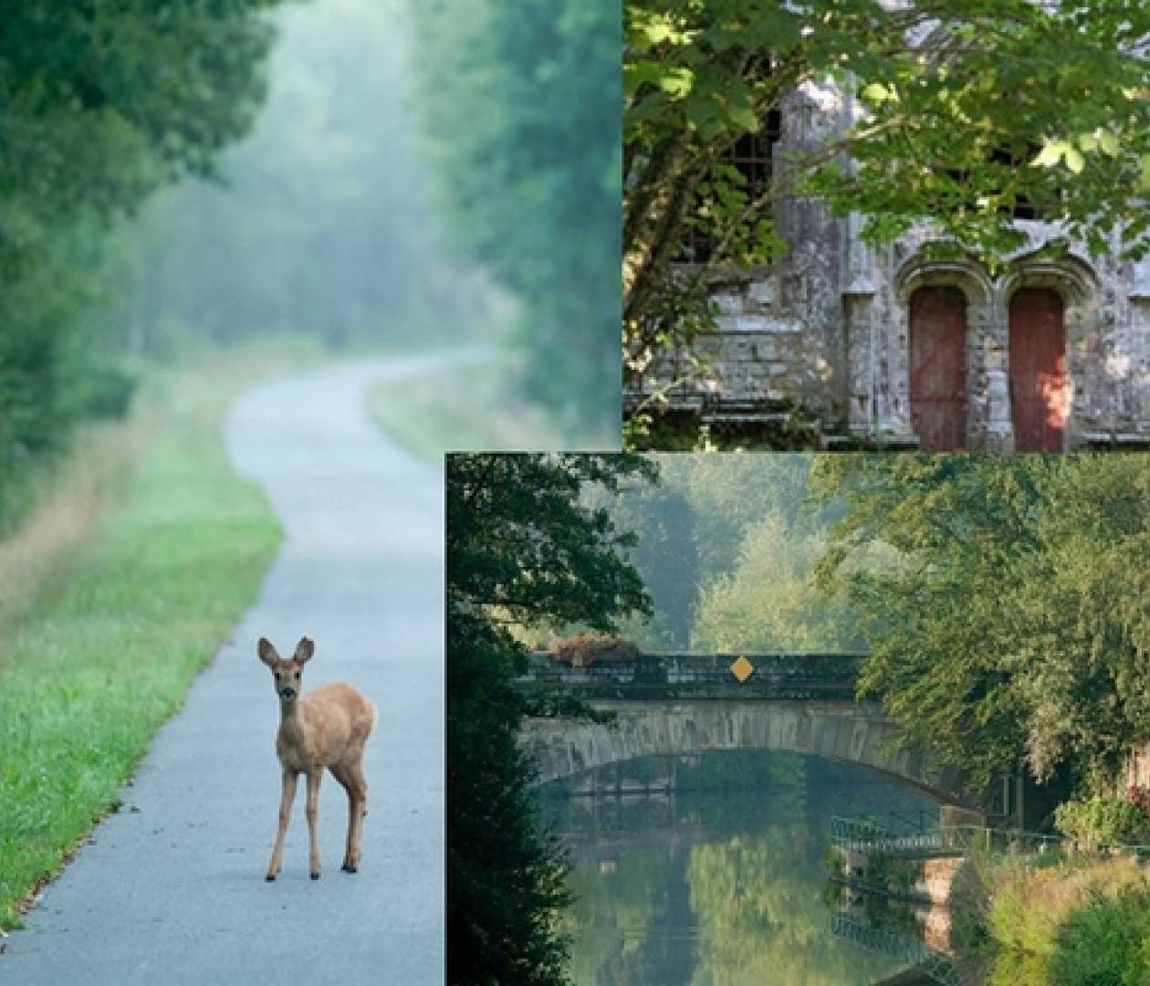 Les Landes de Lanvaux
